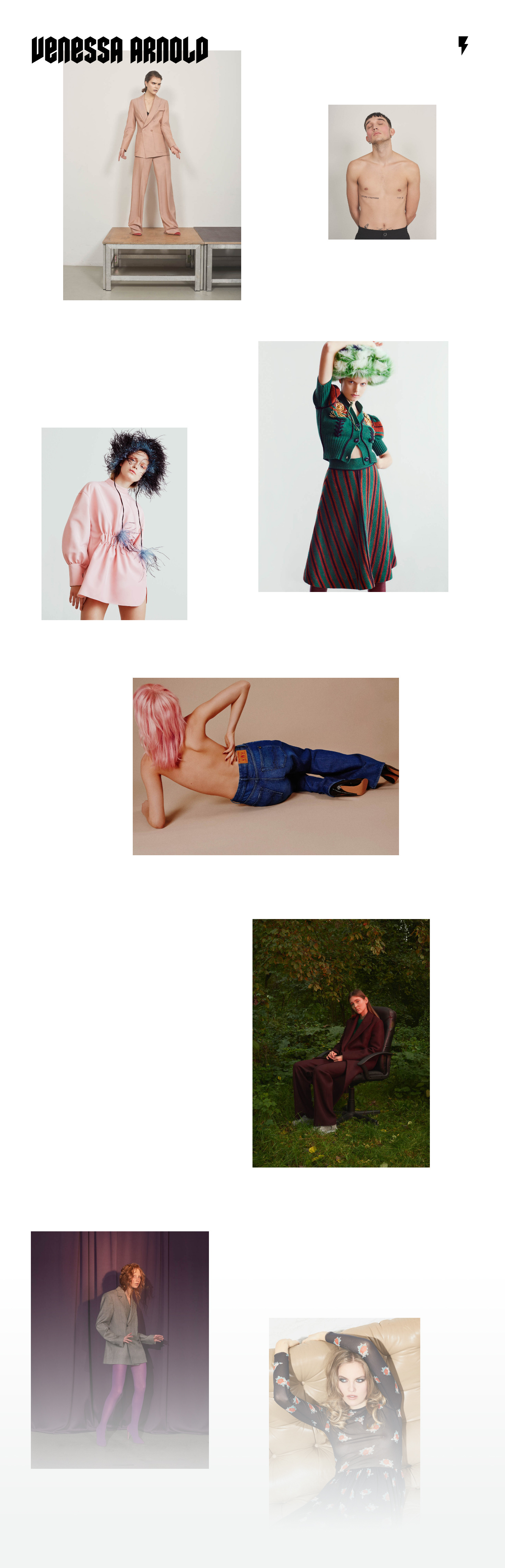 Venessa Arnold Website