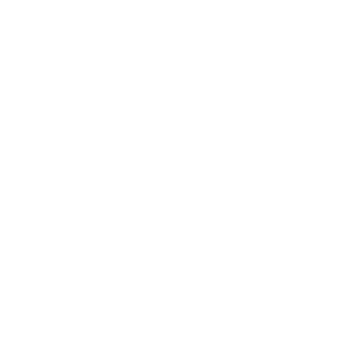 BMW Foundation Herbert Quandt